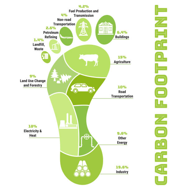 What Is a Carbon Footprint?